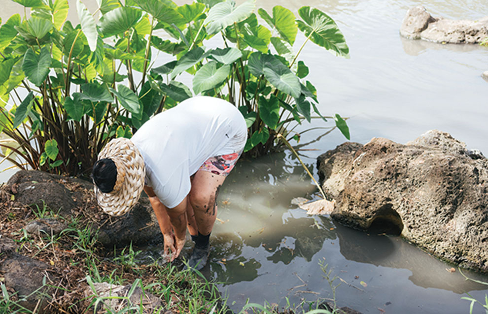 woman in white t-shirt and straw sunhat washes feet in pond next to a bush and rocks. 