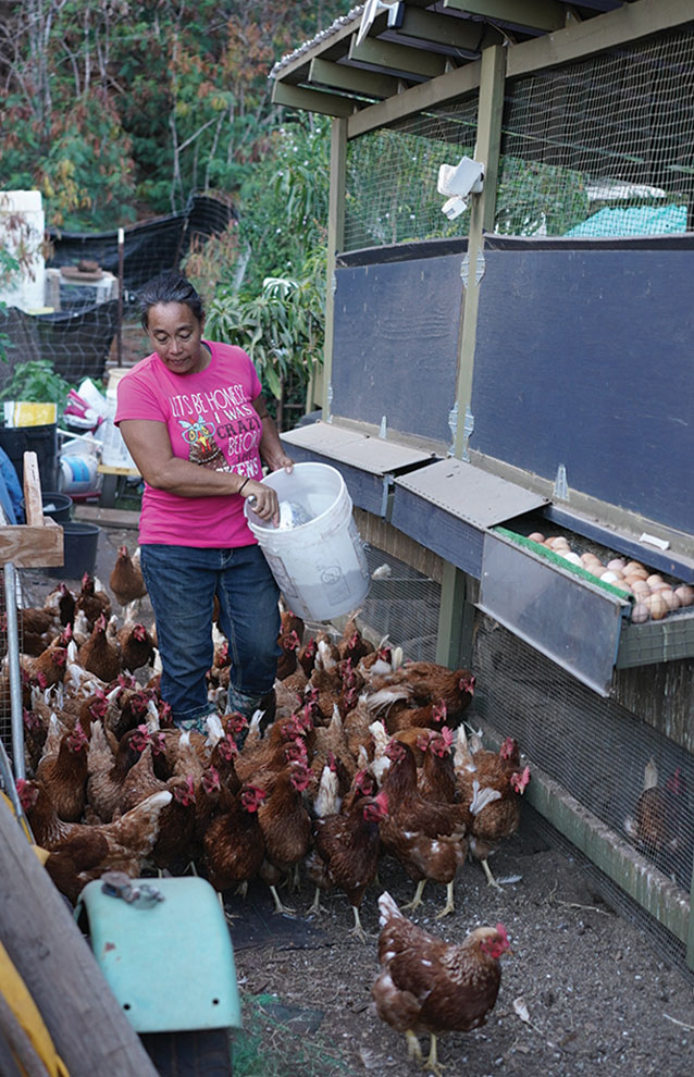 woman in bright pink shirt and jeans dumps food from bucket surrounded by chickens and roosters