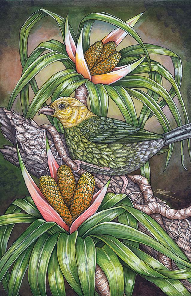 Artwork of small green and yellow bird surrounded by Hawaiian plants. 