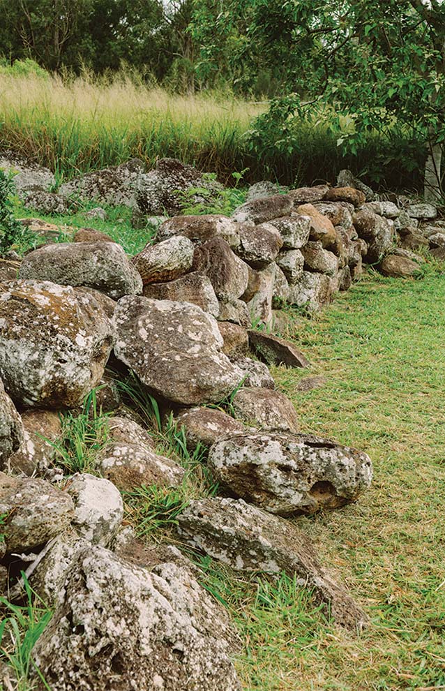 manmade wall of rocks with grass and moss seeping out between crevices. 