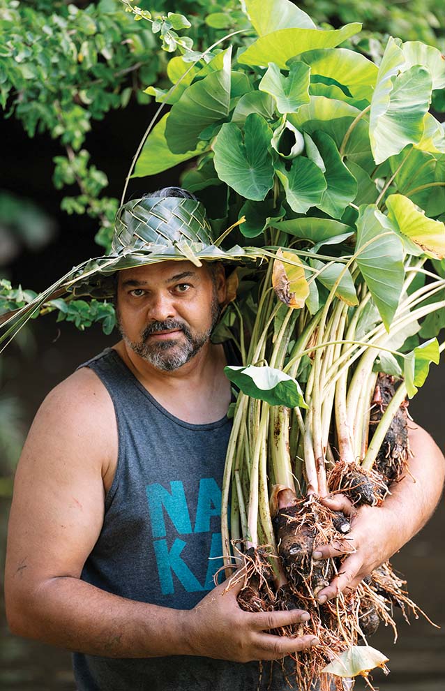 a person holding a large bundle of plants
