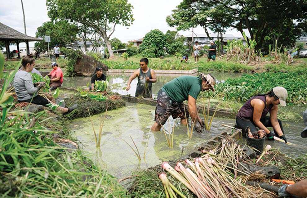 a group of people working in a pond